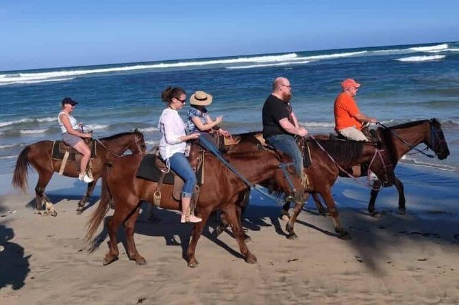 Punta Cana Beach Horseback Riding - FAQ