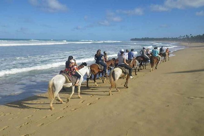 Punta Cana Beach Horseback Riding - Whats Included in the Tour