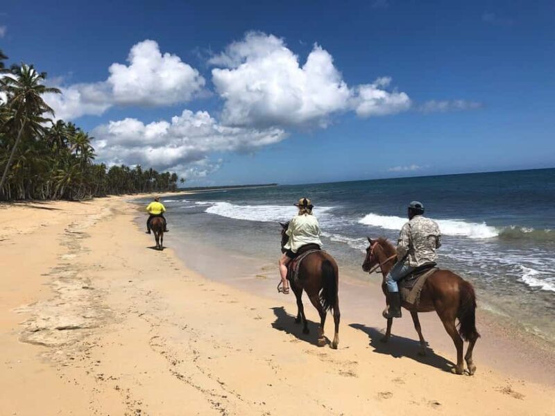 Punta Cana Beach Horseback Riding Tour - Key Points