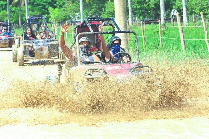 Punta cana Boogie into the Jungle with Coffee and Chocolate Taste - Key Points