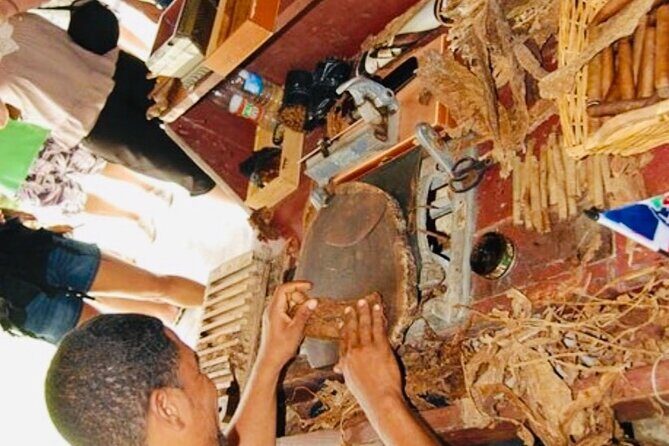 Punta Cana Buggy Adventure - What You Should Expect