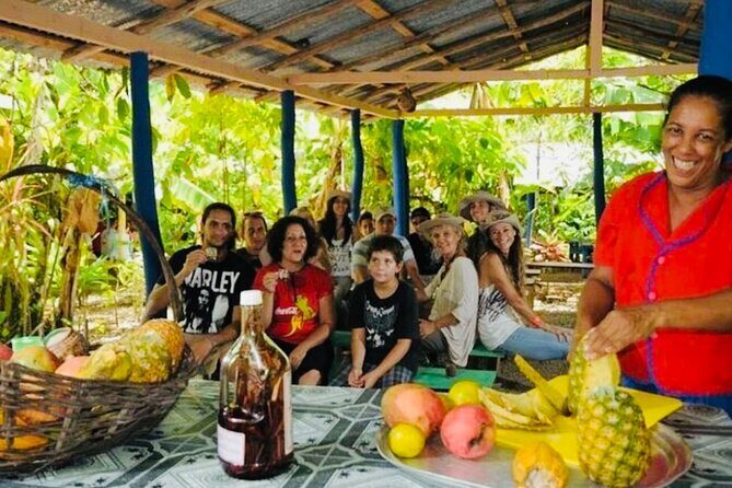 Punta Cana Buggy Adventure - Pricing and Value Analysis