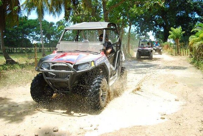 Punta Cana Buggy Adventure to Macao Beach - Who Will Love This Tour?