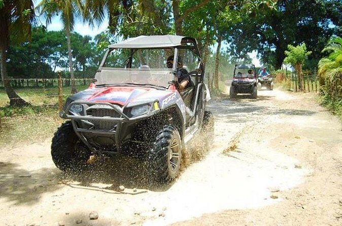 Punta Cana Buggy Adventure to Macao Beach - The Bottom Line