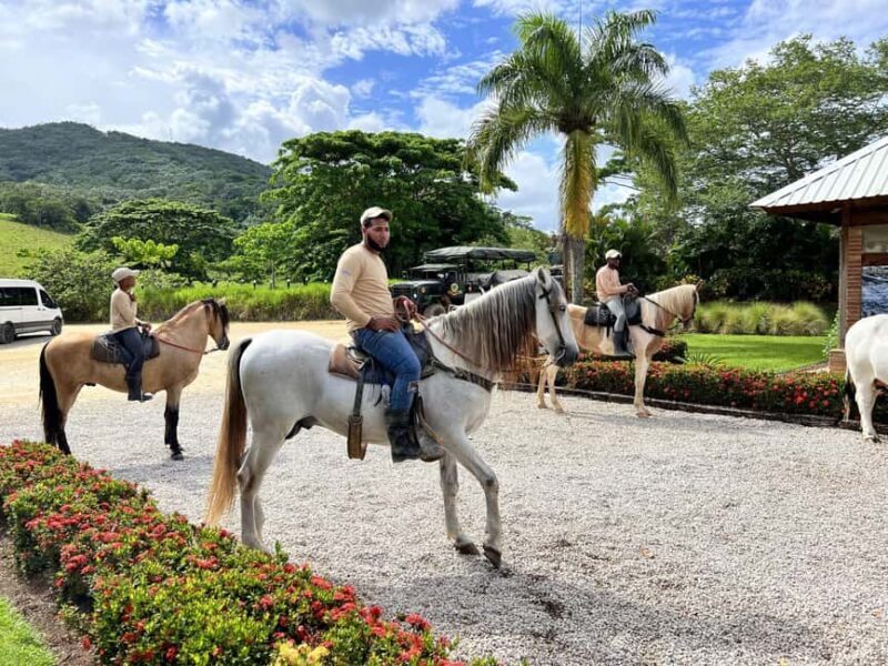 Punta Cana: Buggy and Zipline Adventure at La Hacienda - Introduction: What to Expect from La Hacienda’s Adventure