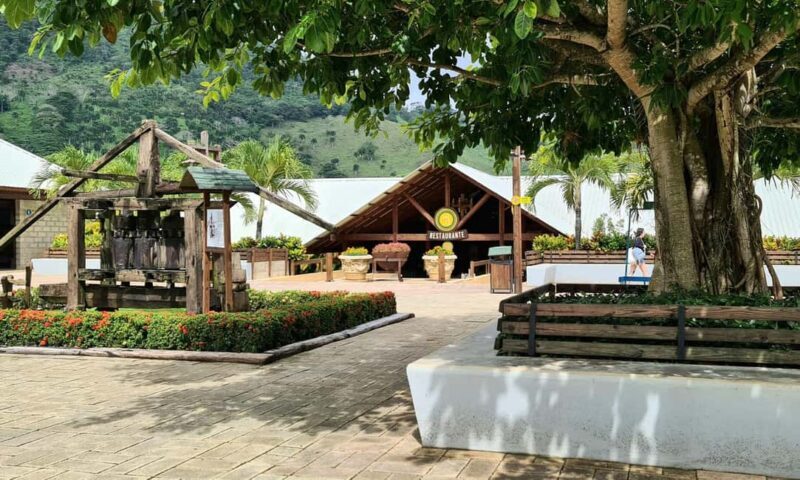 Punta Cana: Buggy and Zipline Adventure at La Hacienda - Is This Tour Worth It?