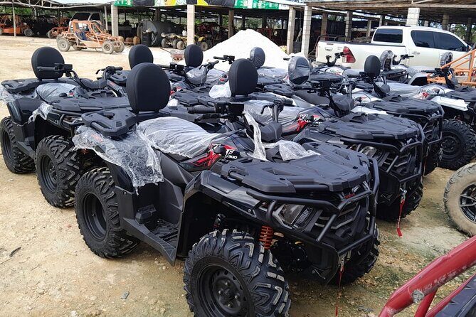 Punta Cana Buggy or ATV Adventure Playa Macao and Dunes - Who Will Love This Tour?