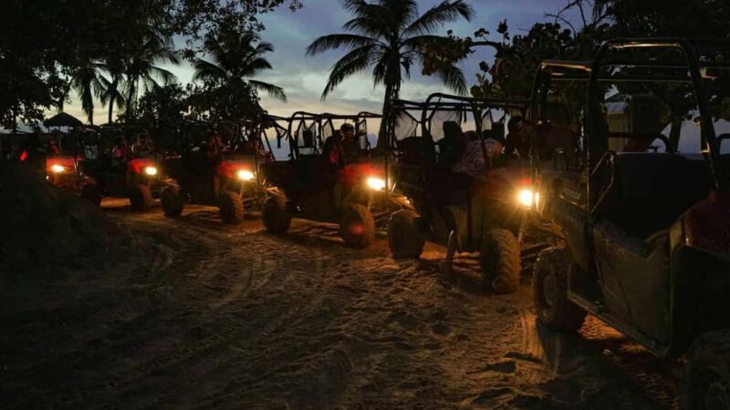 Punta Cana: Buggy Ride, Dinner and Taino Party - Who Should Consider This Tour?