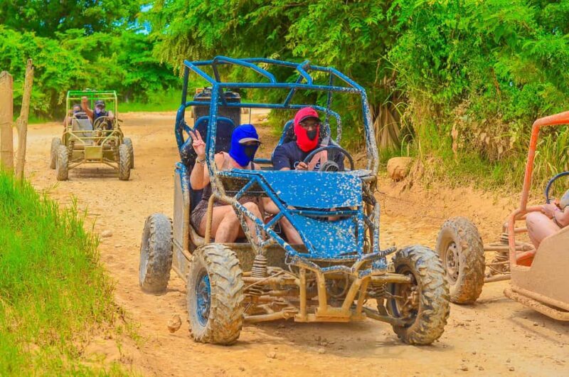 Punta Cana Buggy Tour with Cave, Macao Beach, and Mamajuana - The Sum Up