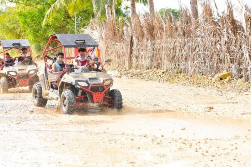 Punta Cana: Buggy Tour with Cave Pool and Chocolate Tasting - FAQ