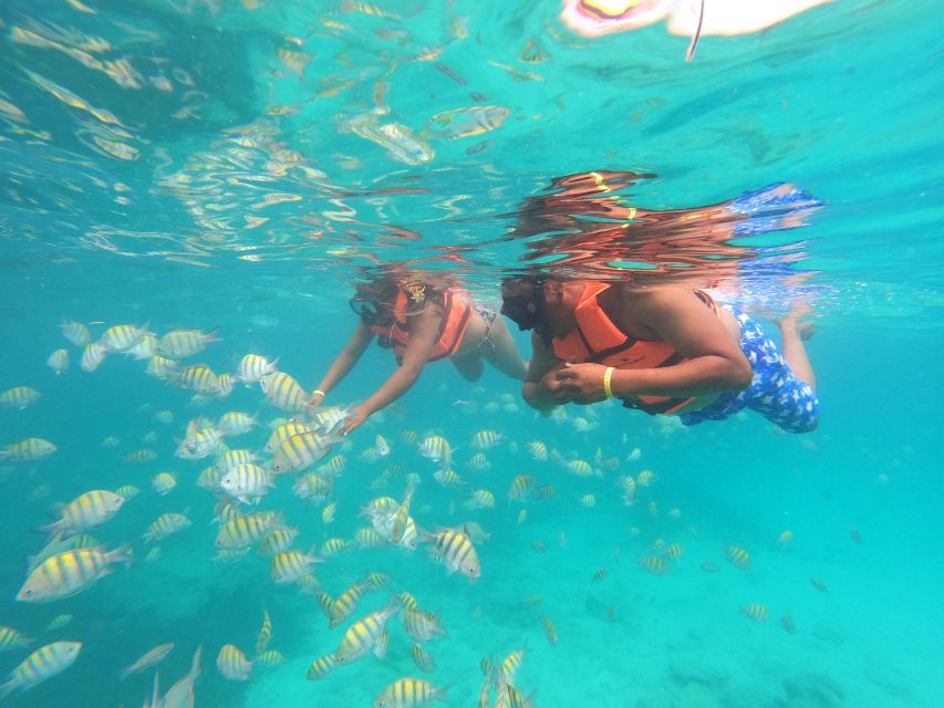 Punta Cana: Catalina Island Catamaran Cruise With Snorkeling - Key Points
