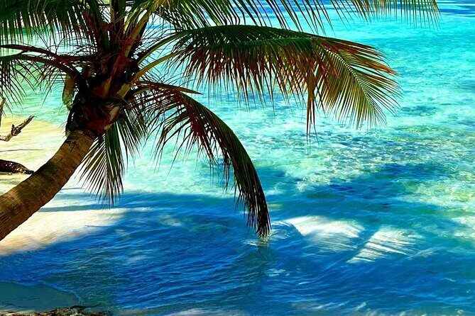 Punta Cana Catalina Island Catamaran Tour Package Deal - What’s Included and What’s Not