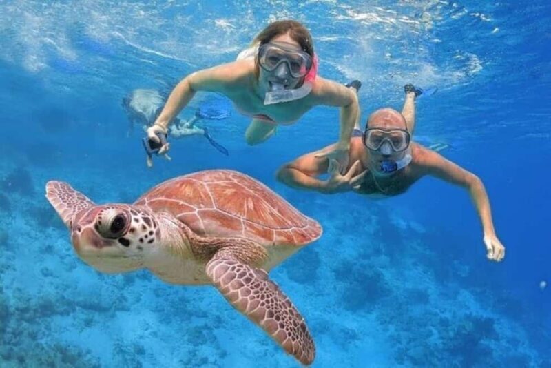 Punta Cana: Catalina Island Classic or VIP Sailing Tour - Key Points