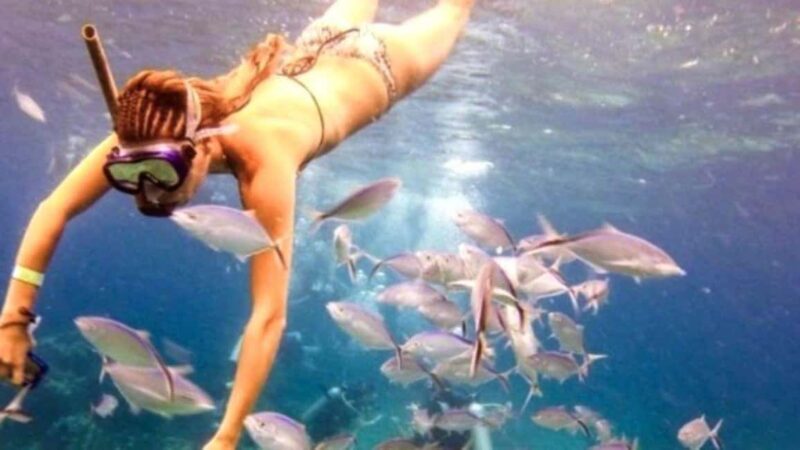 Punta Cana: Catalina Island Snorkeling Tour with Lunch - A Deep Dive into the Experience