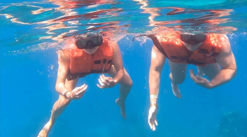 Punta Cana: Catalina Island Trip with Snorkeling - Who Is This Tour Best For?