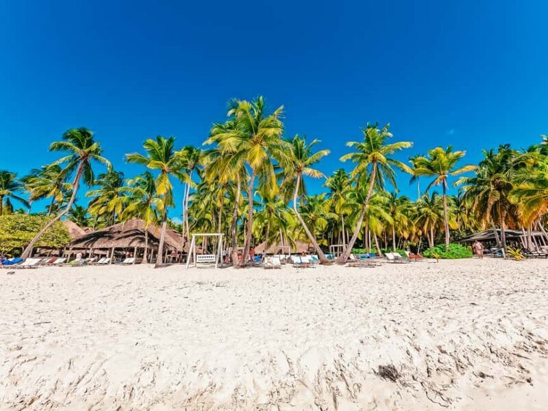 Punta Cana: Catamaran Boat to Saona Island with Buffet Lunch - Practical Tips for Travelers