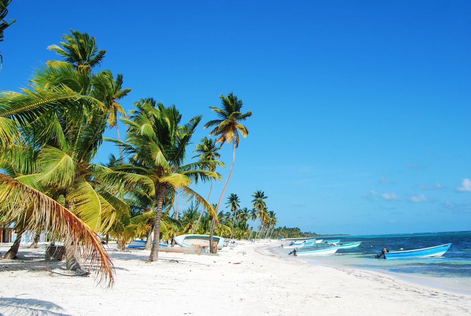 Punta Cana: Catamaran Boat to Saona Island With Buffet Lunch - Buffet Lunch on the Beach