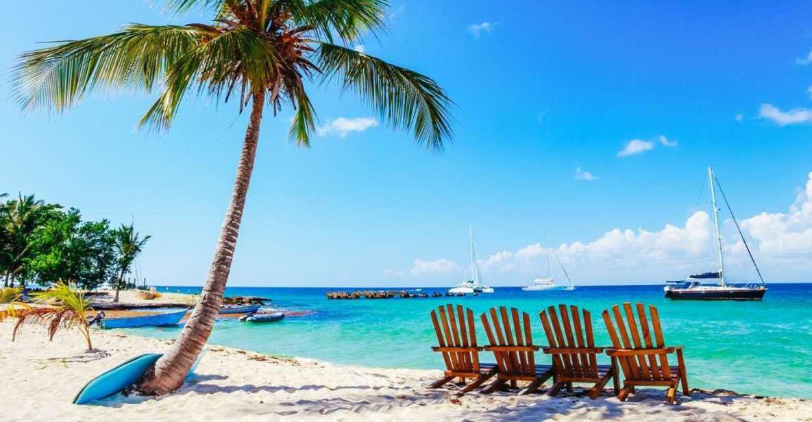 Punta Cana: Catamaran Boat to Saona Island With Buffet Lunch - Highlights