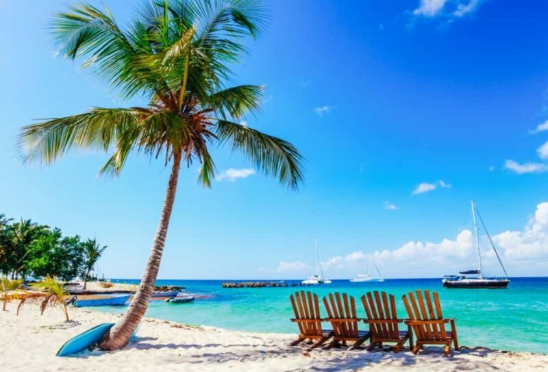 Punta Cana: Catamaran Boat to Saona Island with Buffet Lunch - Key Points