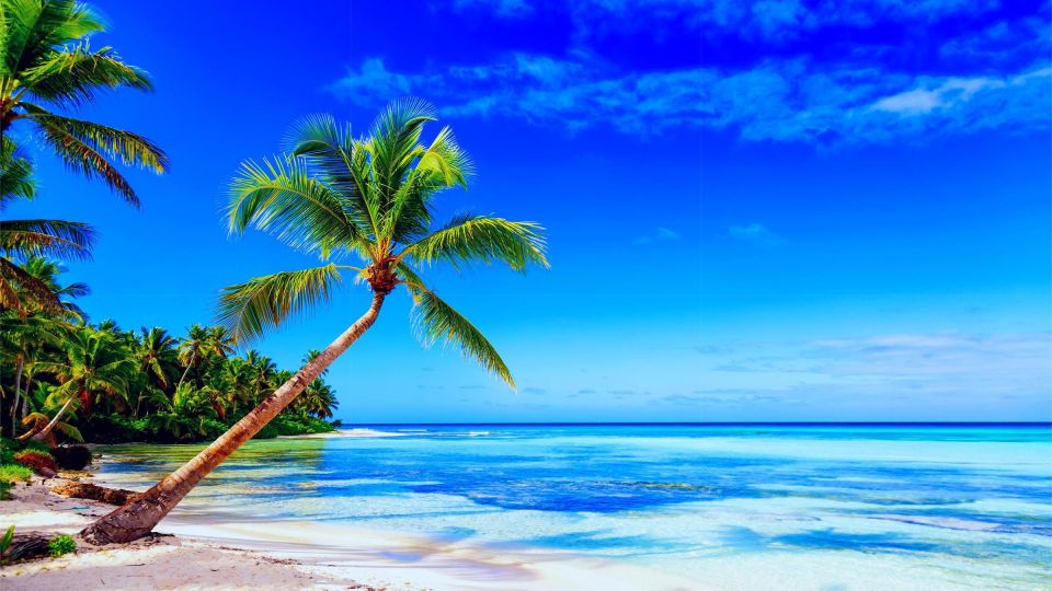 Punta Cana: Catamaran Day Trip to Catalina Island With Lunch - Inclusions and Highlights