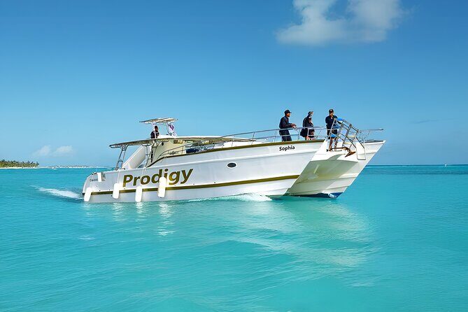 Punta Cana Catamaran Private Tour with BBQ and Natural Pool - Key Points