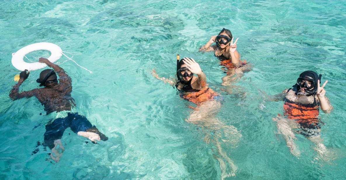 Punta Cana: Catamaran Tour With Open Bar and Reef Snorkeling - Key Points