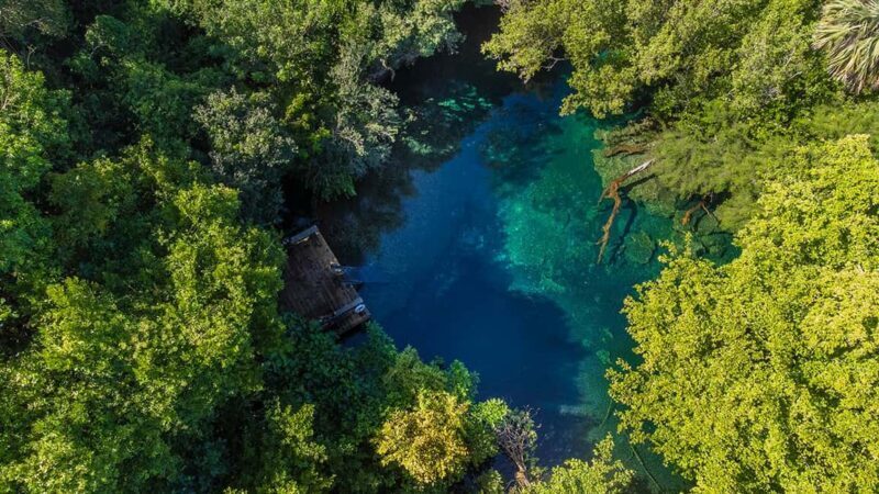Punta Cana Cenote: Floating Sound Healing & Swim - What Makes This Tour Stand Out