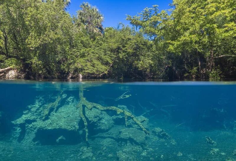 Punta Cana Cenote: Floating Sound Healing & Swim - FAQ