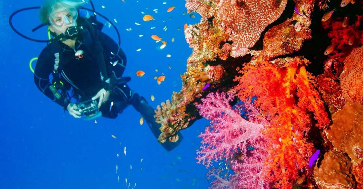 Punta Cana Coastal Diving Adventure - Suitable for All Divers
