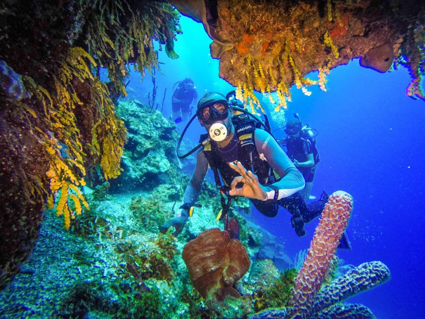 Punta Cana Coastal Diving Adventure - Professional Dive Instructor Guidance
