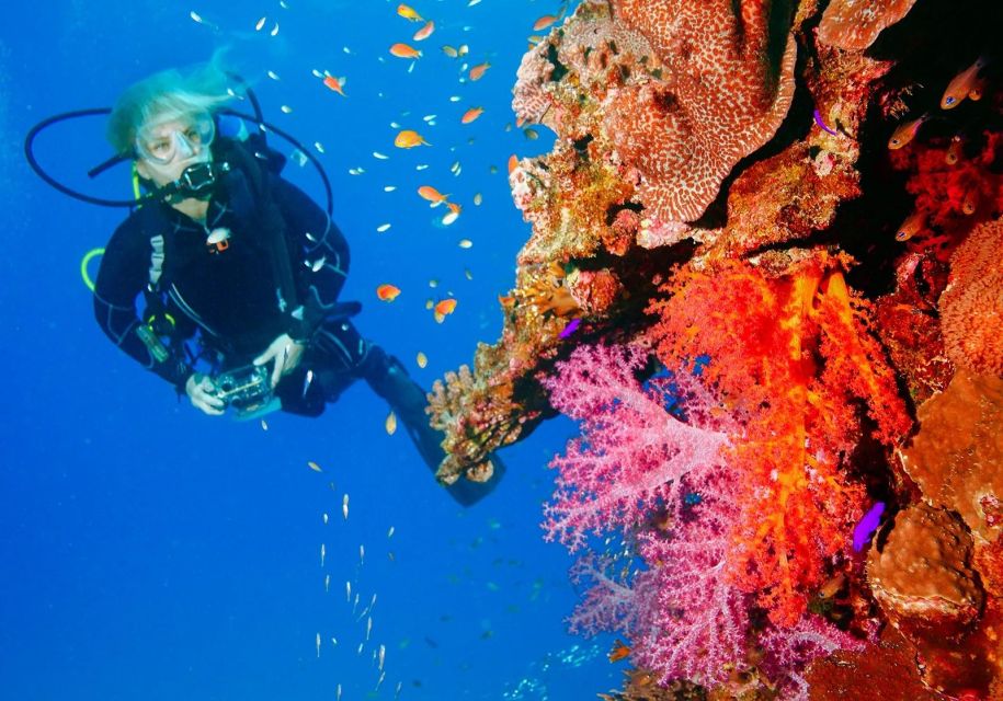 Punta Cana Coastal Diving Adventure - Top-Notch Diving Equipment Provided