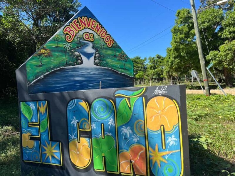 Punta Cana: Coffee Plantation, Chocolate, and Sugar Cane - Exploring the Dominican Republic’s Agricultural Heritage: Coffee, Chocolate, and Sugar Cane Tour