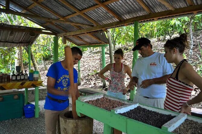 Punta Cana: Cultural half-day tours in the Dominican Republic - An In-Depth Look at the Itinerary