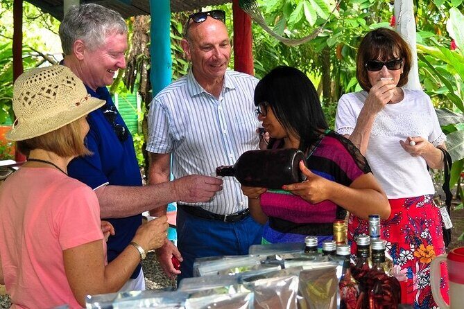 Punta Cana: Cultural half-day tours in the Dominican Republic - Final Thoughts