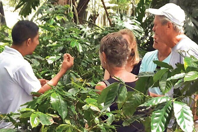 Punta Cana: Cultural half-day tours in the Dominican Republic - FAQ