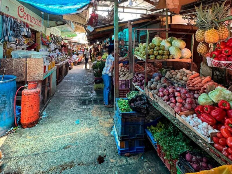 Punta Cana Cultural Tour History and Traditions Small Group - Key Points