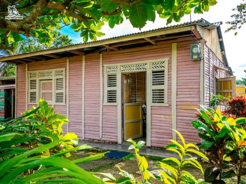 Punta Cana Cultural Tour History and Traditions Small Group - What You Can Expect from the Tour