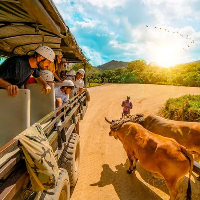 Punta Cana Cultural Tour History and Traditions Small Group - Practical Tips for Participants