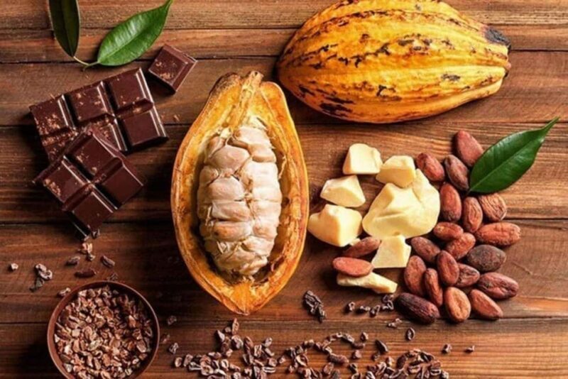 Punta Cana: Cultural Tour with Coffee Tasting, Cocoa & Lunch - A Practical Look at the Tour Itself