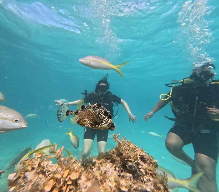 Punta Cana: Discover Scuba Diving Experience for Beginners - Authentic Perspectives from Participants