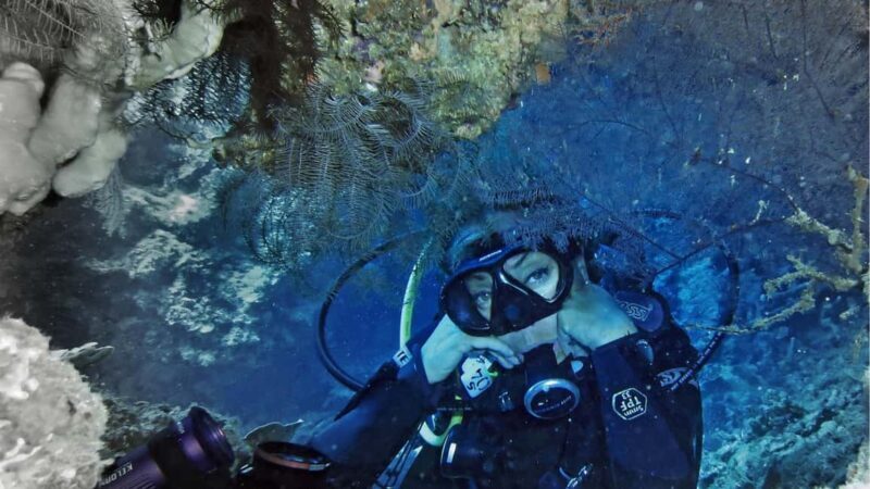 Punta Cana: Dive the Coral Paradise of Catalina Island - Who This Tour Is Best For