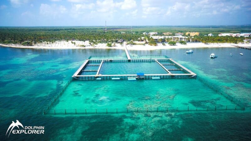 Punta Cana Dolphin Adventure: 40-Minute Interaction - The Value for Your Money