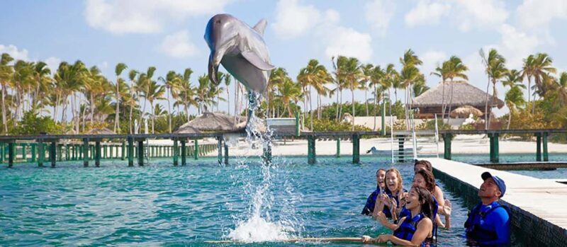 Punta Cana Dolphin Adventure: 40-Minute Interaction - Who Should Consider This Tour?
