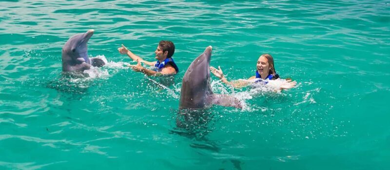 Punta Cana Dolphin Adventure: 40-Minute Interaction - The Sum Up