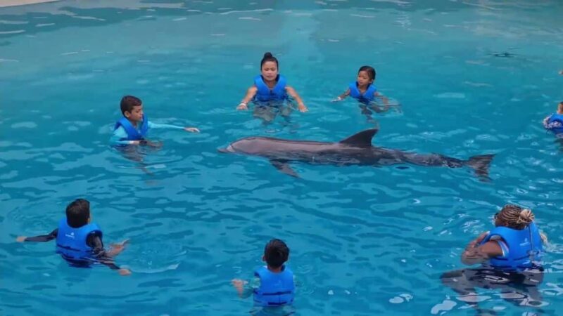 Punta Cana: Dolphin Discovery Park Tour with Hotel Transfers - An Honest Breakdown of the Dolphin Discovery Punta Cana Tour