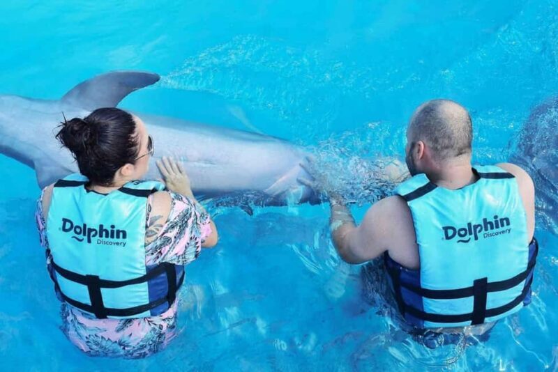 Punta Cana: Dolphin Discovery Park Tour with Hotel Transfers - The Sum Up