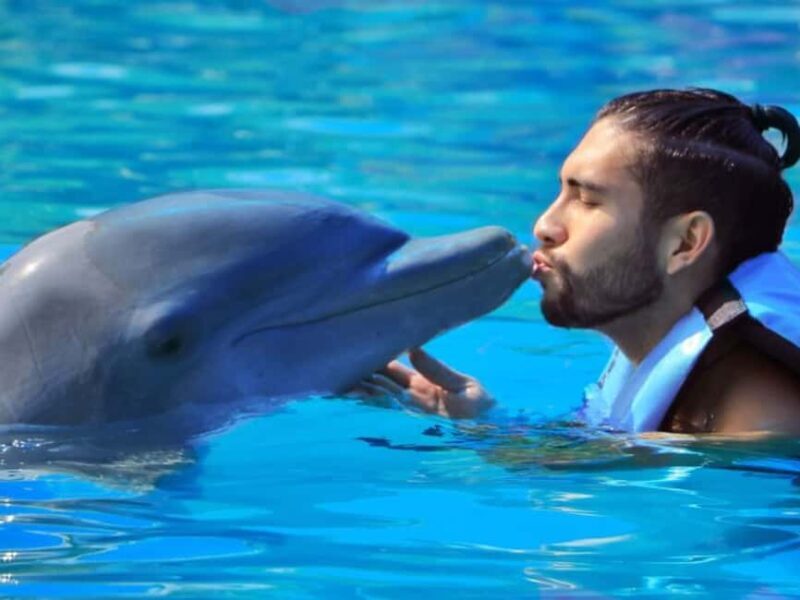 Punta Cana: Dolphin Explorer Park Entry, Swim, or Encounter - Punta Cana: Dolphin Explorer Park Entry, Swim, or Encounter — A Practical Review