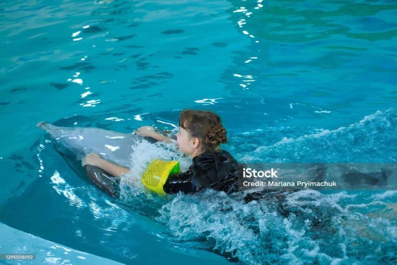 Punta Cana: Dolphin Explorer Park Entry, Swim, or Encounter - The Detailed Itinerary Breakdown