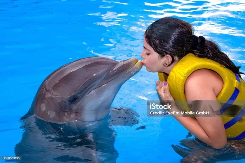 Punta Cana: Dolphin Explorer Park Entry, Swim, or Encounter - The Bottom Line: Is It Worth It?