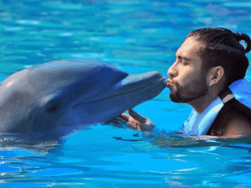 Punta Cana: Dolphin Explorer Park Entry, Swim, or Encounter - FAQ